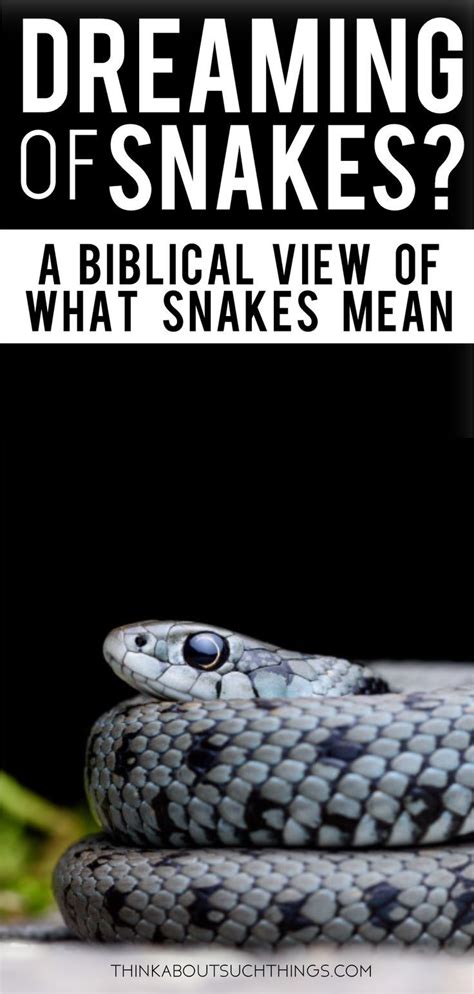The Biblical Meaning of Snakes in Dreams