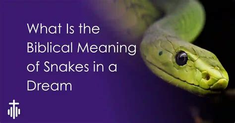 The Biblical Meaning of Snakes in Dreams